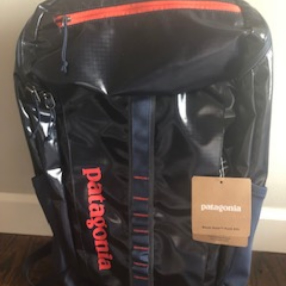 Patagonia Back Pack